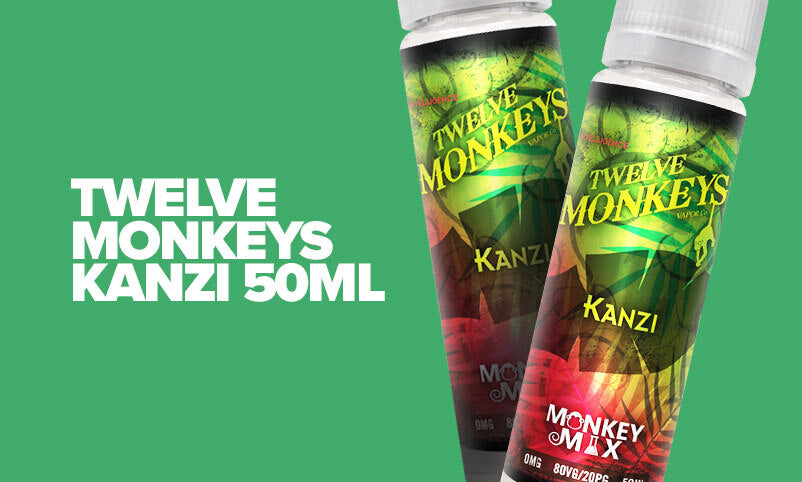 The best watermelon e-liquids twelve monkeys