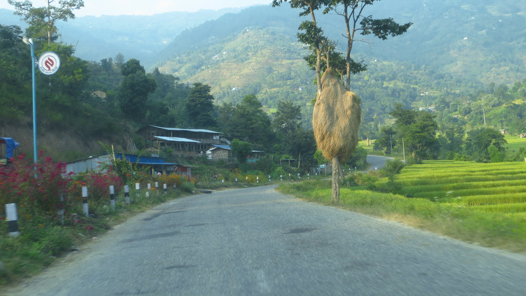 Heading into Dhankuta, Nepal.