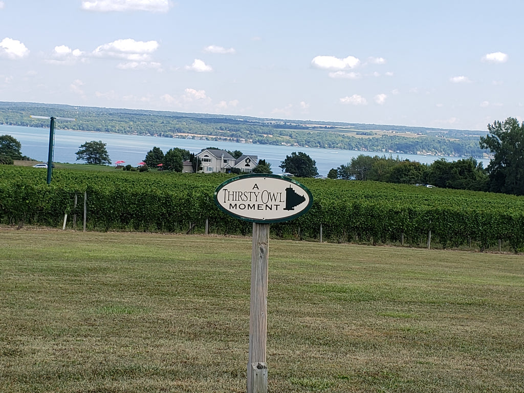 Thirsty Owl Winery in the Finger Lakes 