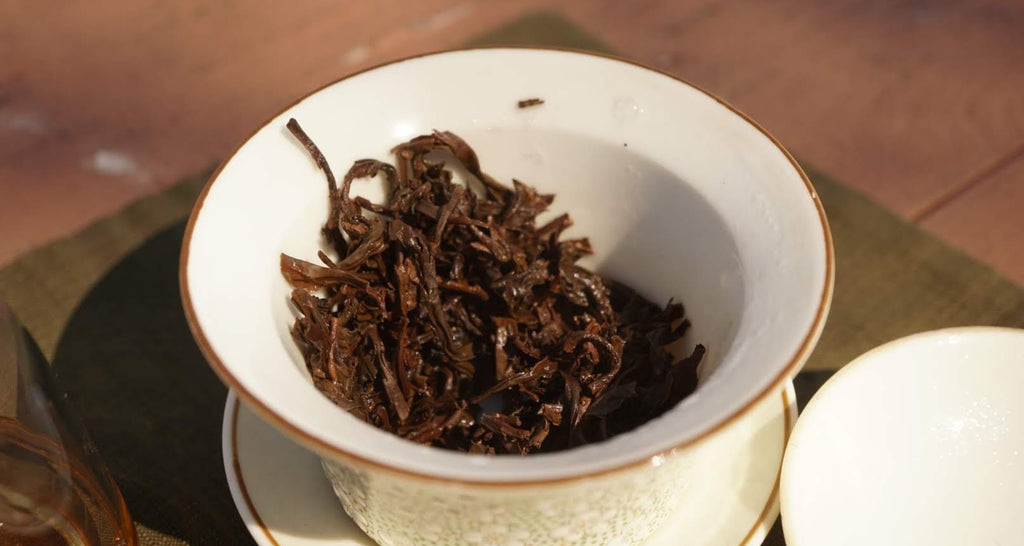 Wild Tea Tree Pu-erh