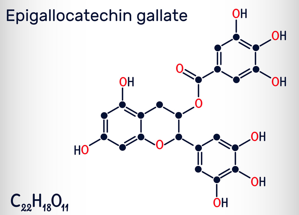 ic:EGCG is likely to suppress the enzymes involved in cell replication that adversely affect our genetic code.