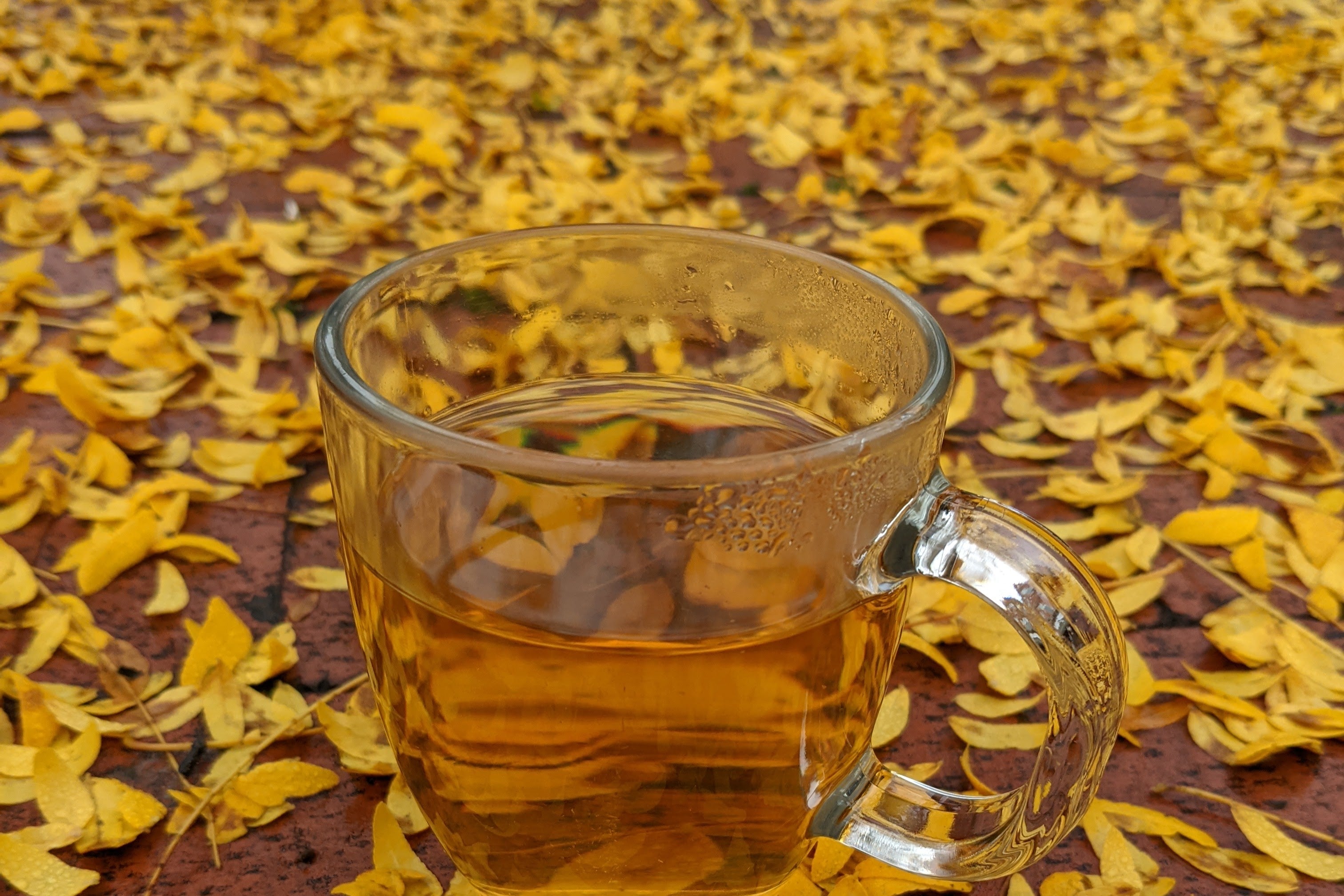 oolong tea for fall