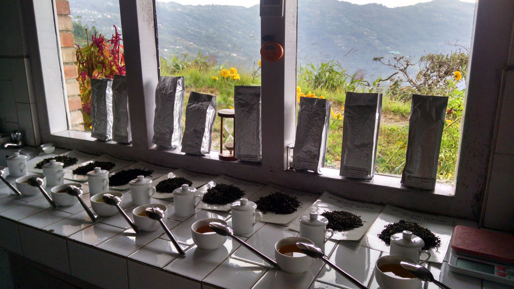 Tasting room at Jun Chiyabari Tea garden.