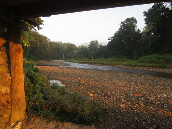 Photo of The Panchanadi River