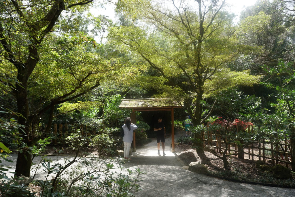 Nelson Family Memorial Garden. Roji-en: Garden of Drops of Dew