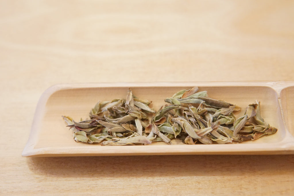 Nan Mei White Tea. Yunnan, China