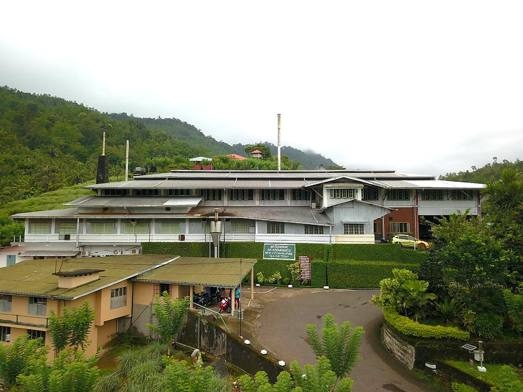 ic: New Vithanakande tea factory overlooks Sinharaja rain forest in the south of the country. 