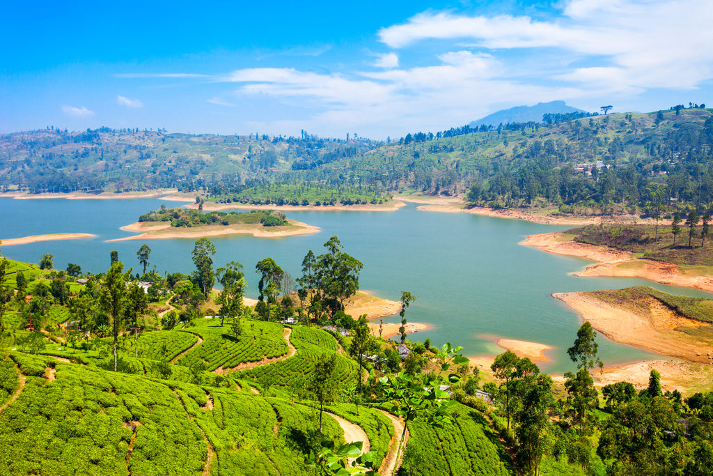 ic: Maussakelle reservoir near Nuwara Eliya in Sri Lanka. Nuwara Eliya is the most famous place for tea production in Sri Lanka.