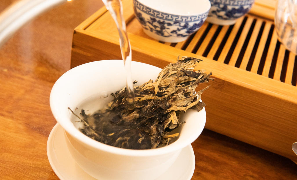 Steeping of Wuliangshan Moonlight White Tea