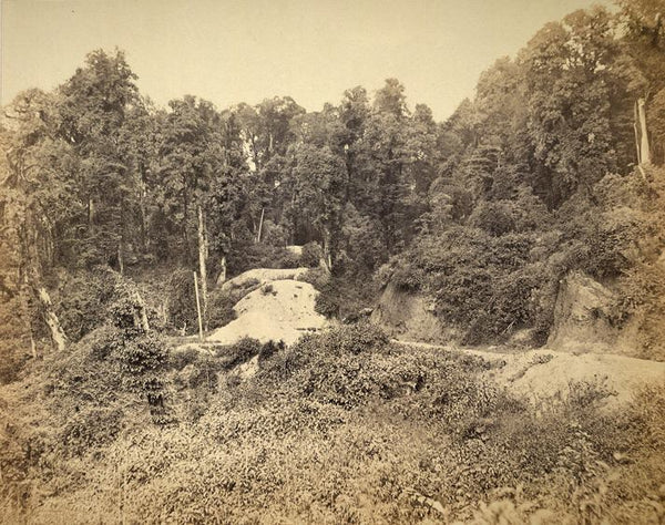 Road to Darjeeling. 1865.