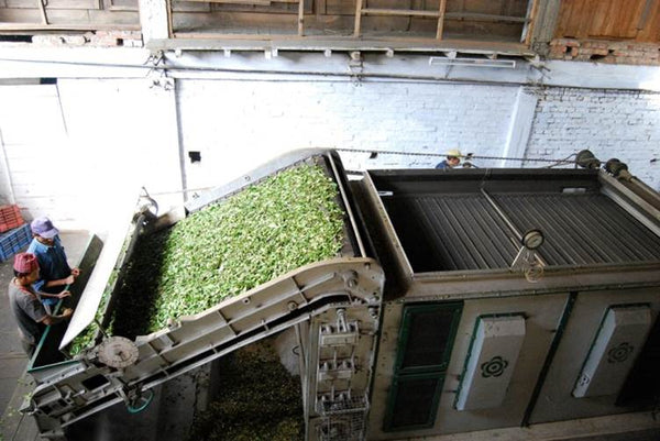 Photo of tea drying/firing process 