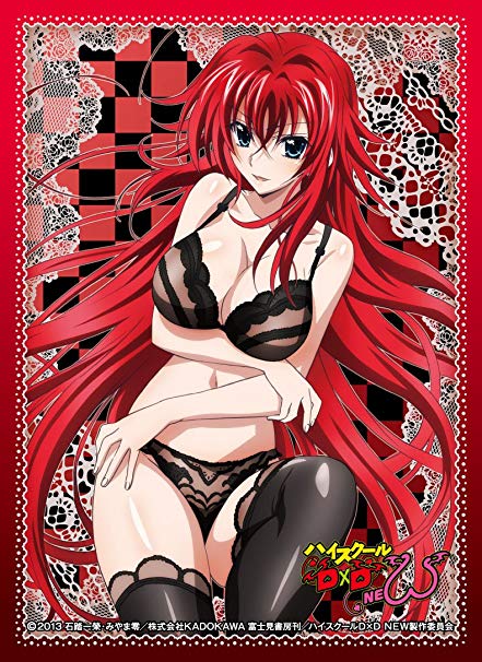 High School Dxd Rias Gremory Movic 17 Card Sleeve Sleever Queen