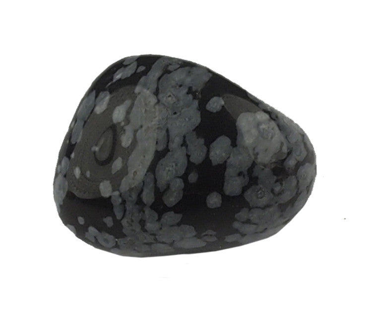 Snowflake Obsidian Montessori Child