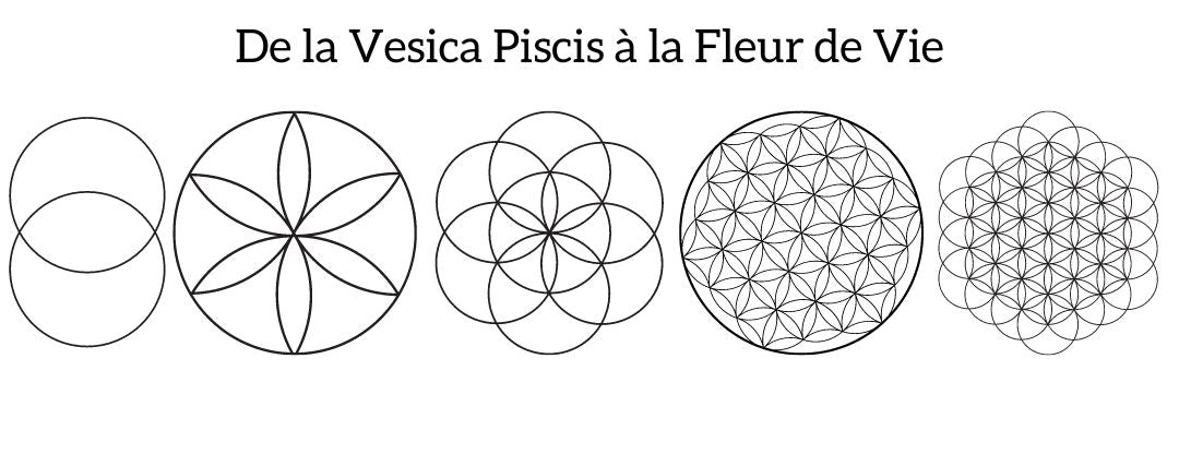 De la Vesica Piscis à la Fleur de Vie