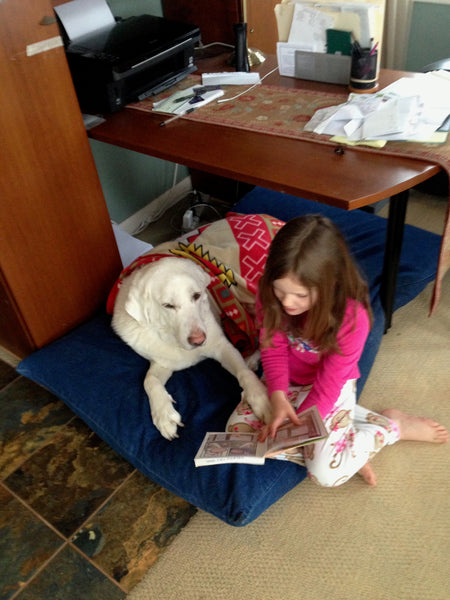 Sam the Akbash and Tess Reading a book together