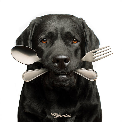 "BONE APPETIT" Black Labrador Retriever With Fork and Knife in Mouth Wall Art Photo Print for Kitchen, Dining Room, Restuarant, Dog Food, By World's Top Dog Photographer Ron Schmidt 