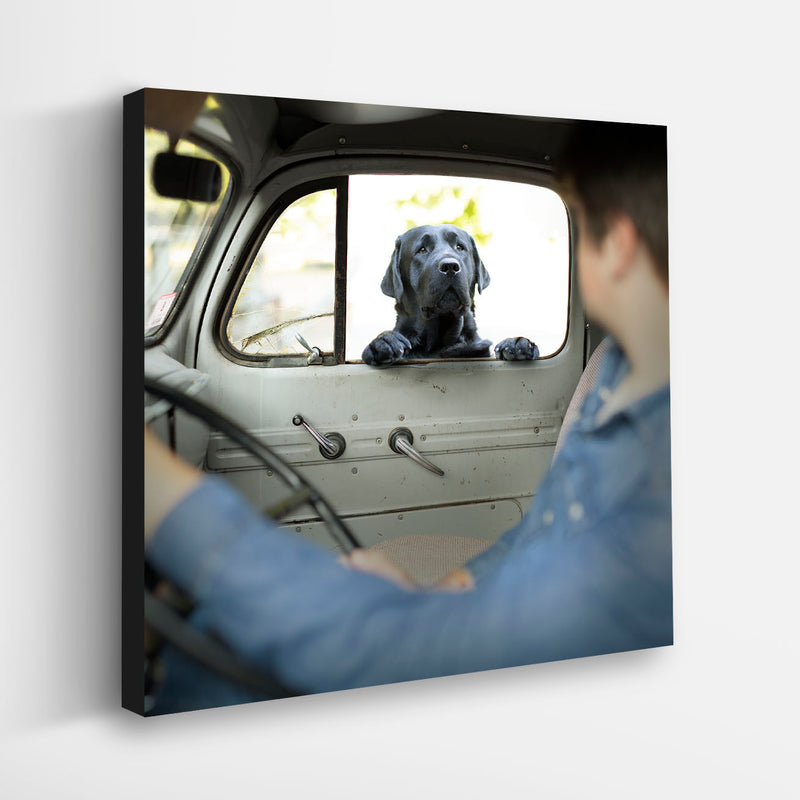 BUDDY Dog Canvas Art Print  - Black Labrador Retriever Vintage Truck Artwork