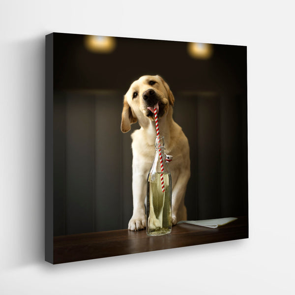 HOMER Donut Dog Canvas Art Print - Black Labrador Doughnut Artwork