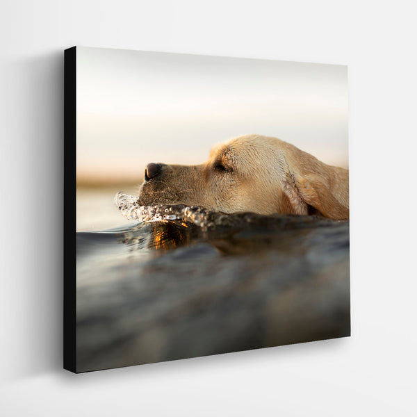 Glam Wall Decor Poster - Labrador Retriever Puppy - Fashion Wall Art -  Luxury Room Decor, Home Decoration - Gift for Dog Lovers, Women, Girls,  Teens 