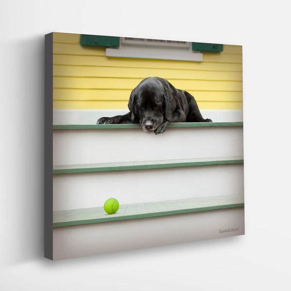 KIP Dog Canvas Art Print - Labrador Puppy Bedroom, Nursery Wall Art – Loose  Leashes by Ron Schmidt