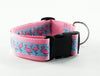 Paisley dog collar handmade adjustable buckle collar 1" wide or leash $12 collar