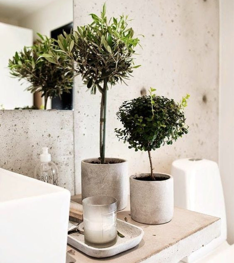 concrete in a bathroom