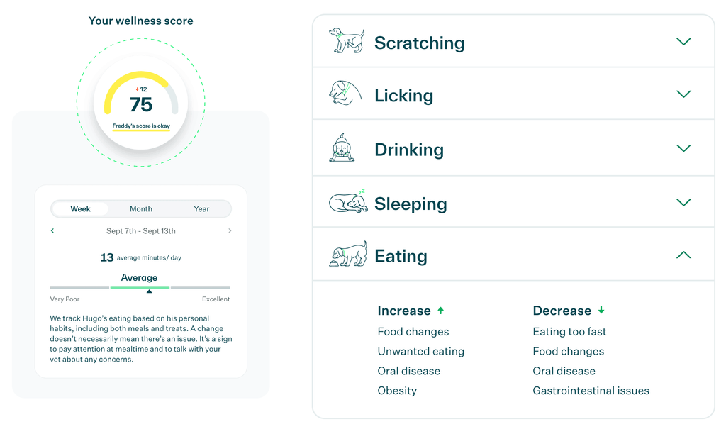 How Whistle Tracks How Much Your Dog is Eating