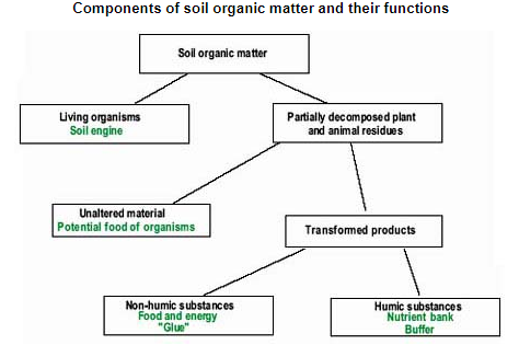 #8-Importance of Organic Matter in Soil Quality