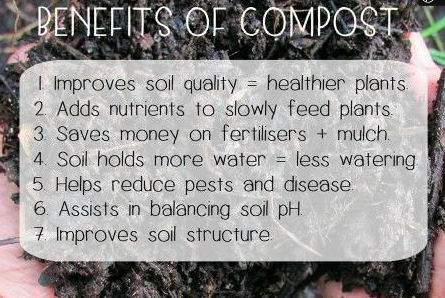 #8 - Benefits of Compost in Soil Quality