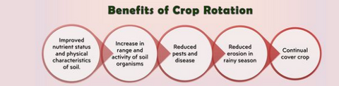 #8 - Benefits of Crop Rotation