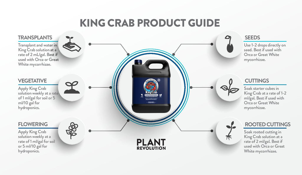 king crab product guide