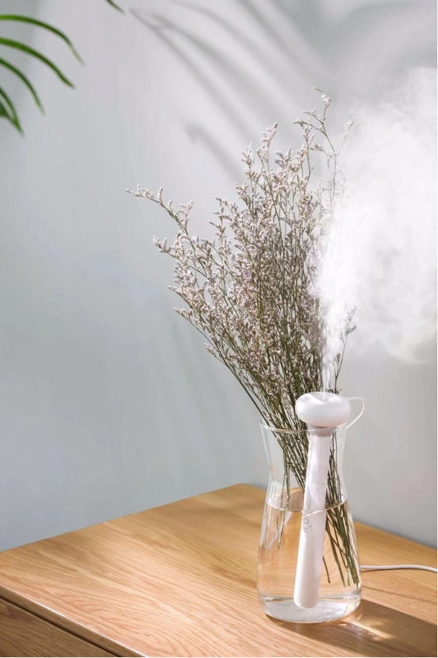 Bumi ultrasonic air humidifier