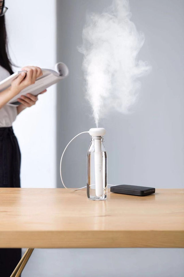 Bumi humidifier