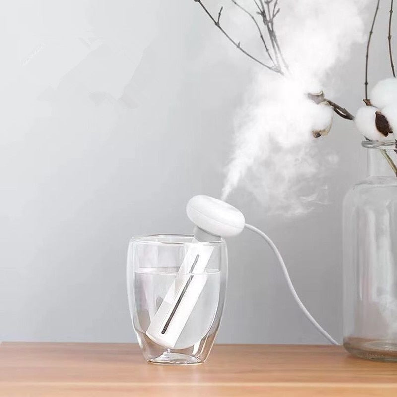 Bumi humidifier