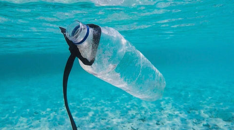 effect of microplastics on marine life