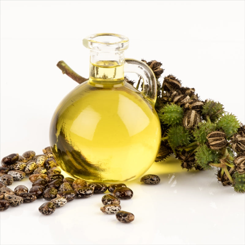 Castor Seed Oil