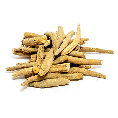 Indian ginseng