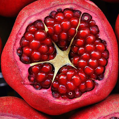 Pomegranate