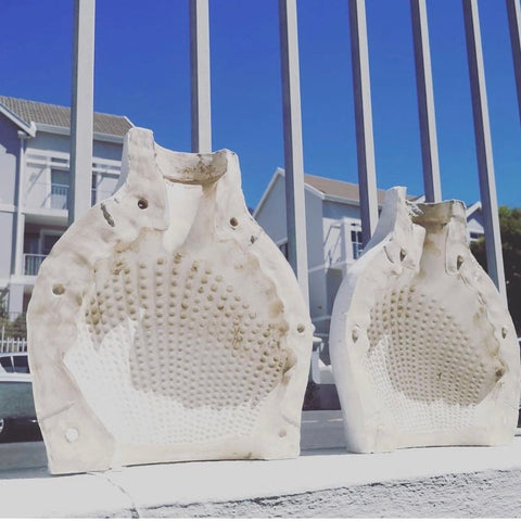 ceramic wall shells Hadeda