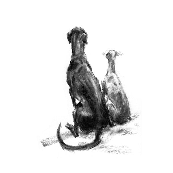 dog looking back drawing