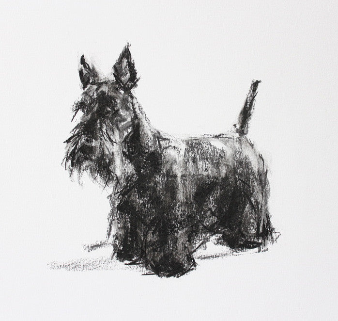 Scottie dog Charcoal sketch ORIGINAL drawing Scottish Terrier art