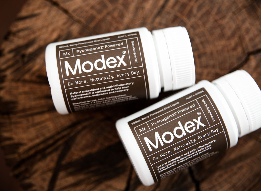 Modex Clean Pre Workout