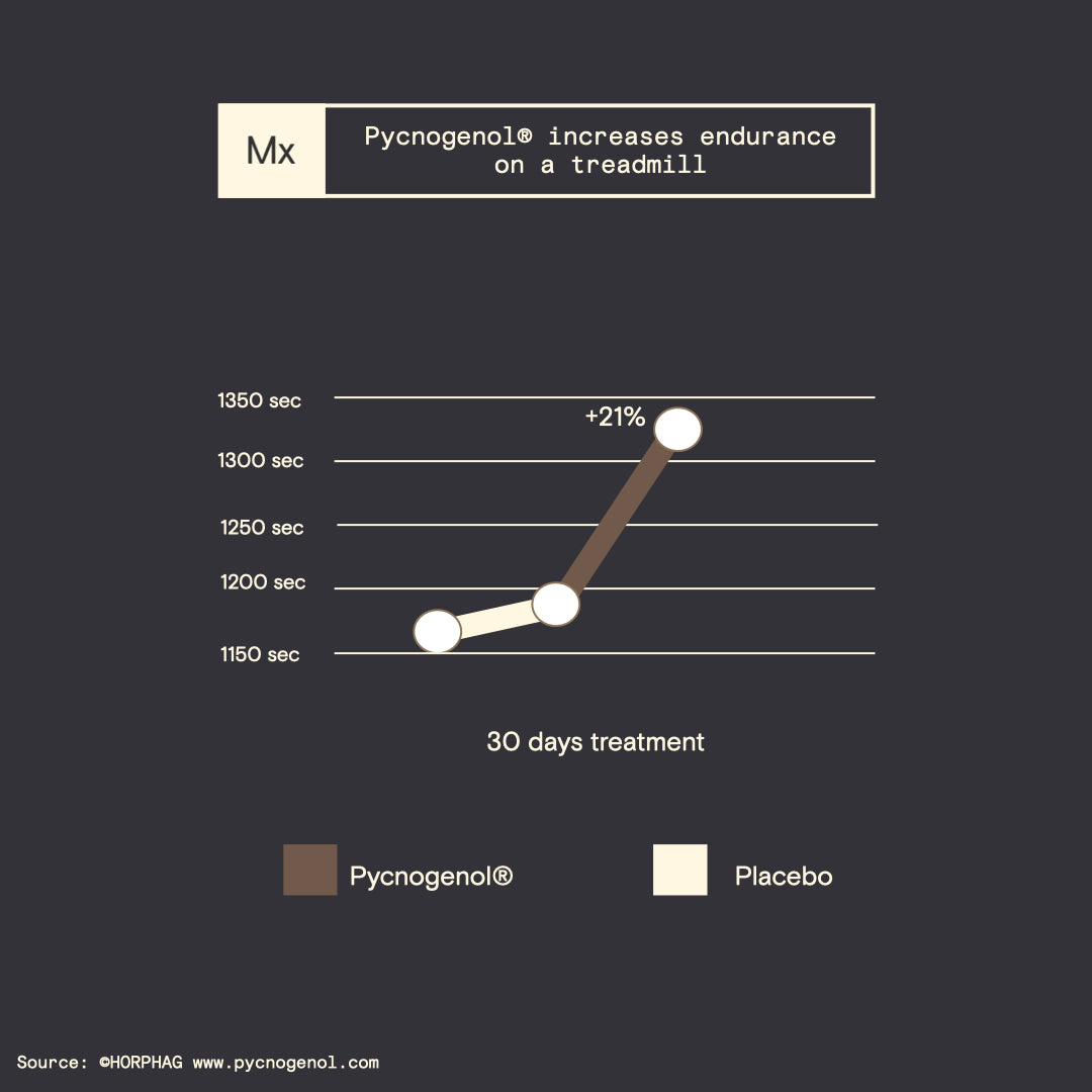 Pycnogenol increases endurance Modex