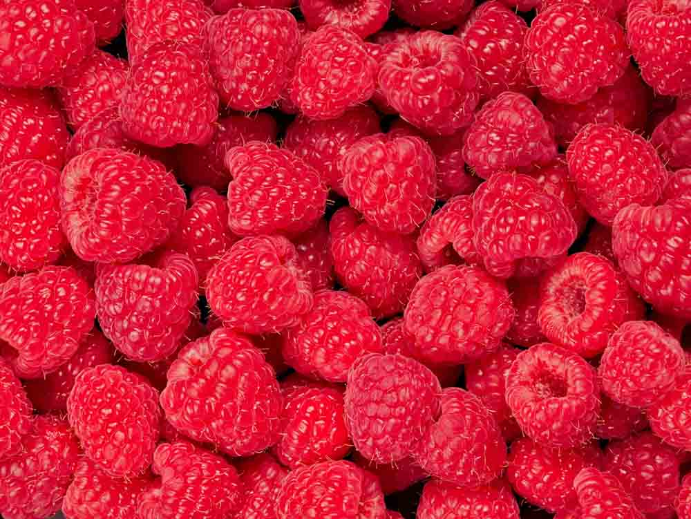 Bowl of Raspberries