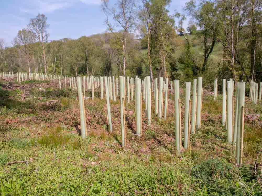 Trees with Tree Tubes