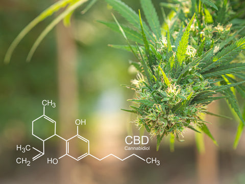 CBD for promoting better sleep