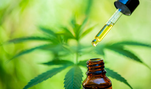 CBD oil tincture dropping CBD oil for weight loss. 