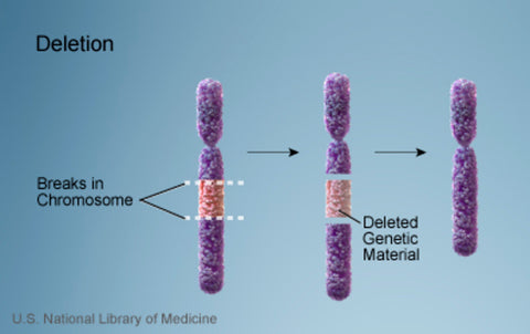 cbd-22q112ds-contiguous-gene-deletion