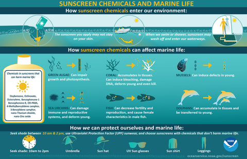 NOAA Sunscreen Chemicals Marine Life CBD Blog