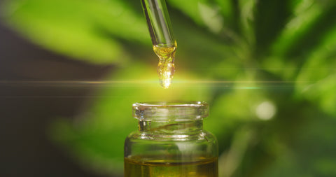 CBD oil used for IBS. Close up of tincture dropping CBD droplet into small jar. 